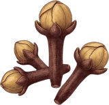Clous de girofle