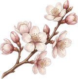 Fleur d'amandier