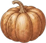 Citrouille